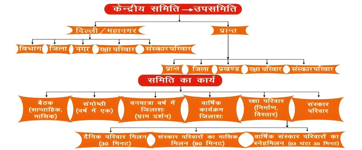 Organizational Structure